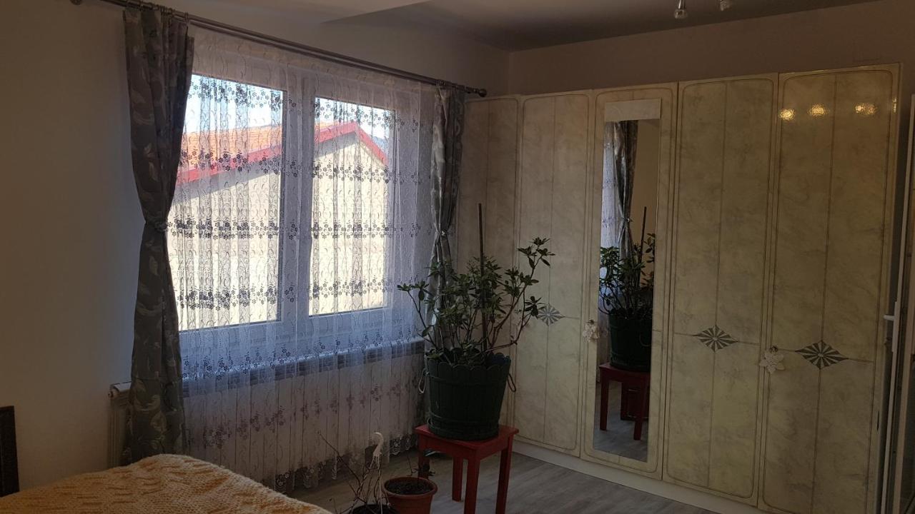 Casa Cojanu Hotell Petroşani Eksteriør bilde