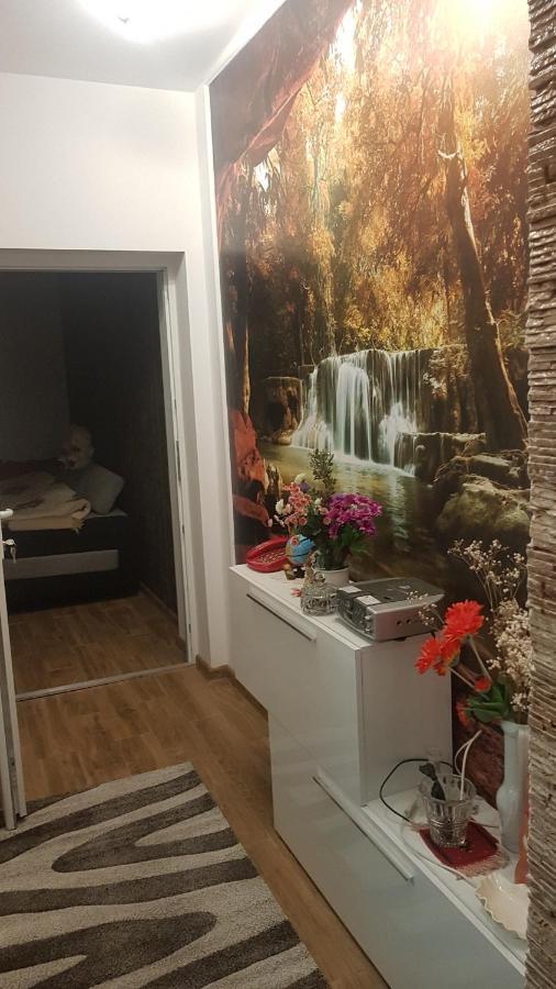 Casa Cojanu Hotell Petroşani Eksteriør bilde